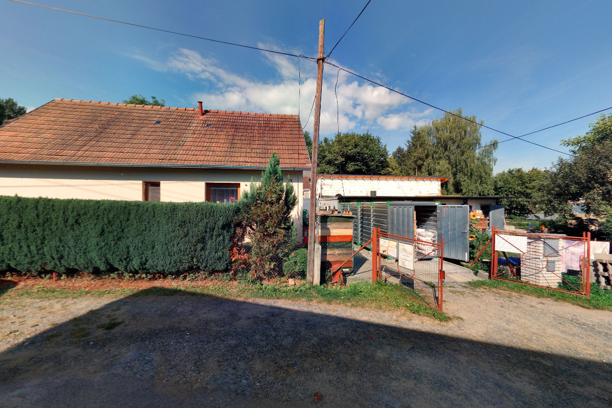 David Pistorius - DAPIP