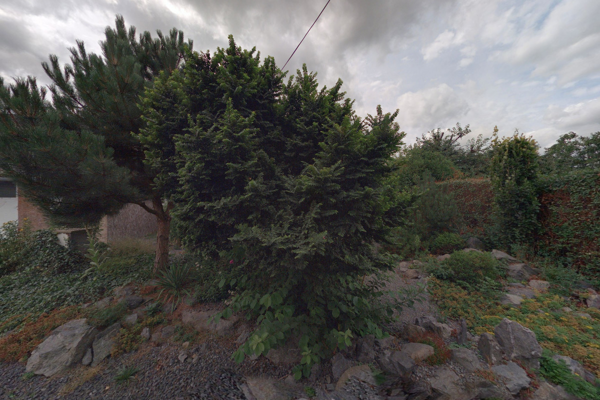 ZO ČSOP Zelené Vendolí