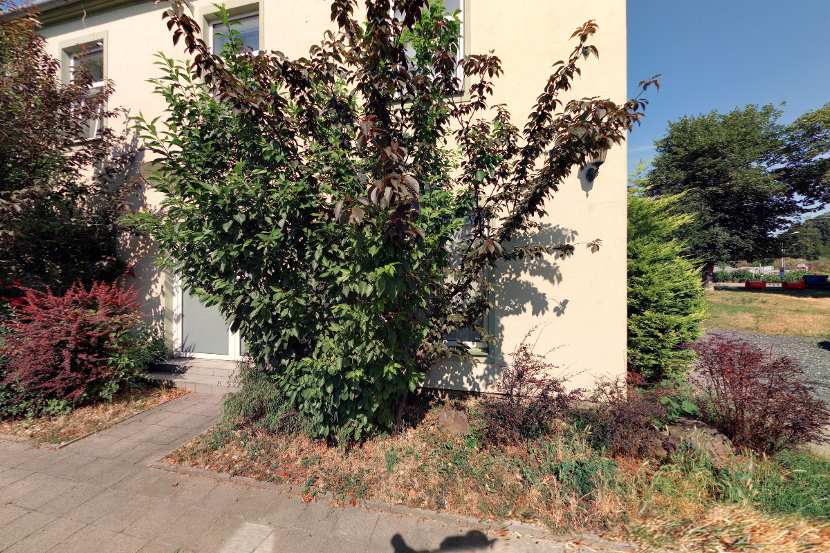 So fly inK TATTOO ART SHOP foto 2