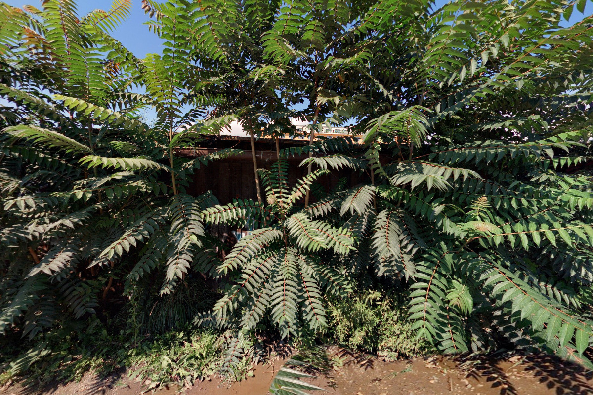 BASKETBAL SVITAVY, s.r.o. foto 2
