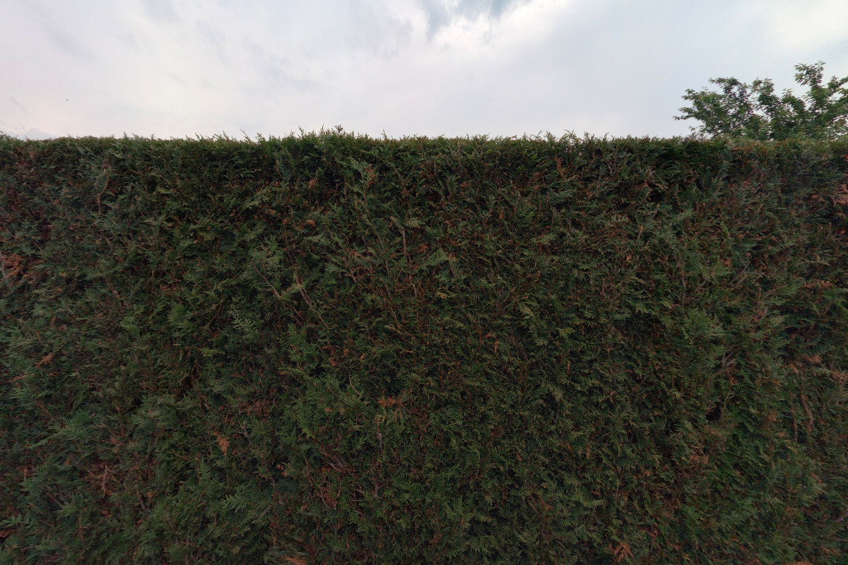 Jaroslava Motyčková