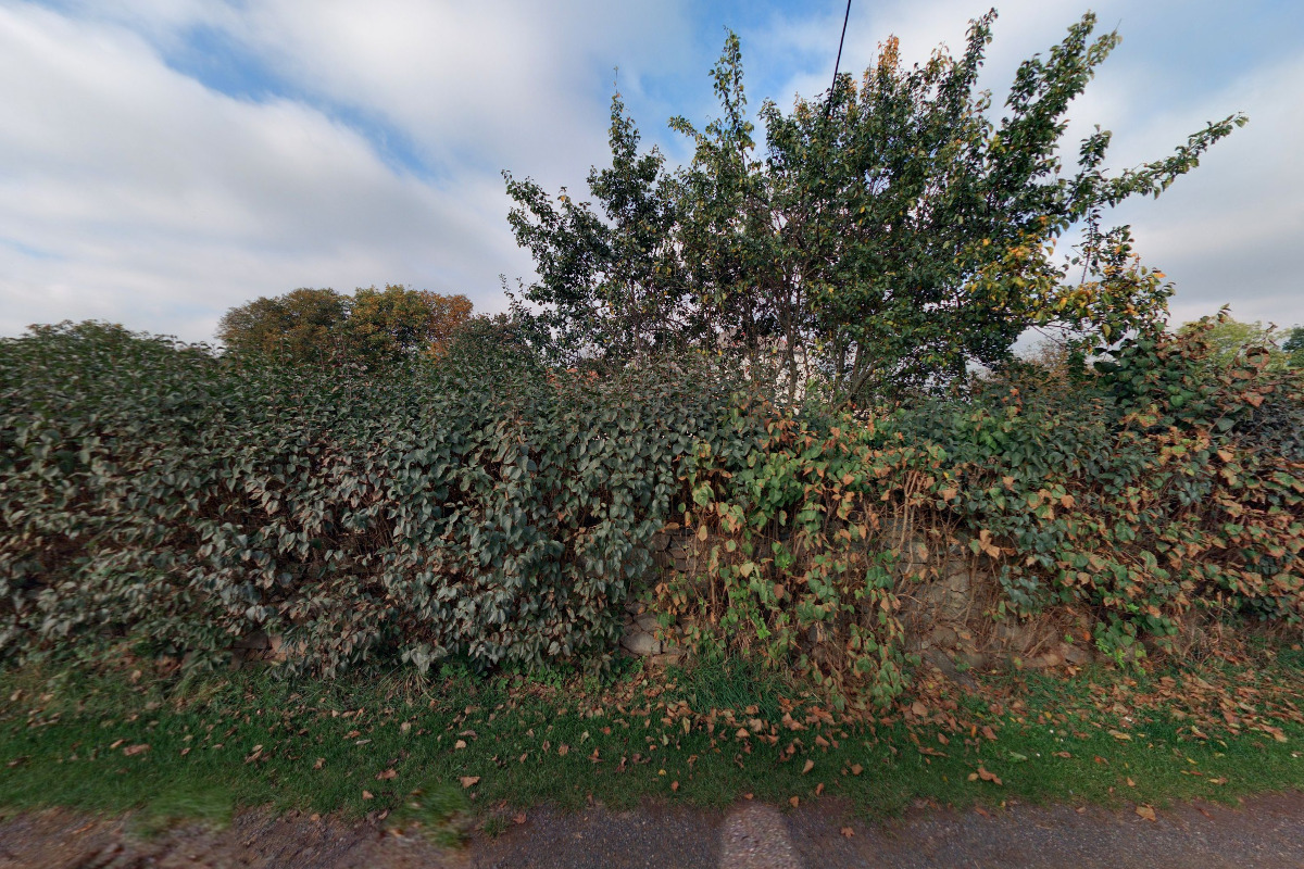 AVESTA - oděvní studio, Ing. Stanislav Karas