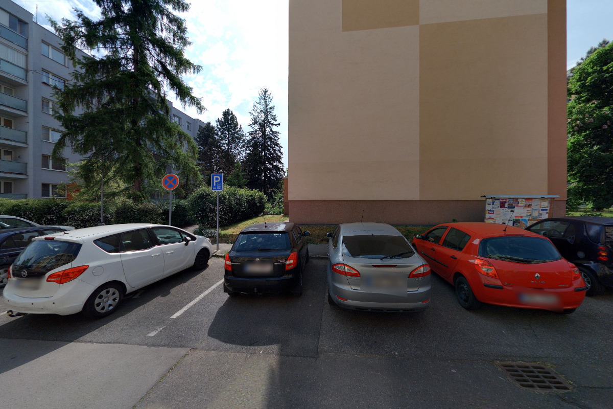 REALITY KOČÍ foto 2