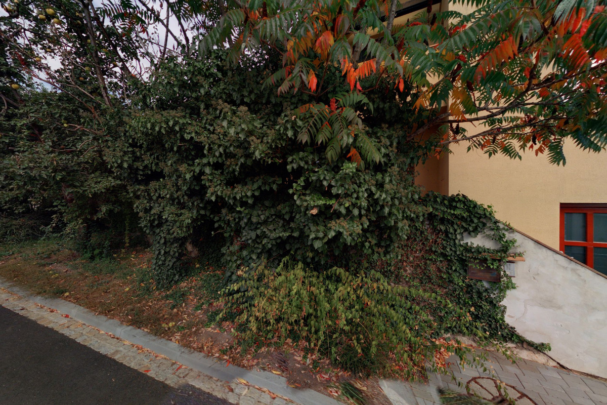 Rehabilitace Dagmar Černá