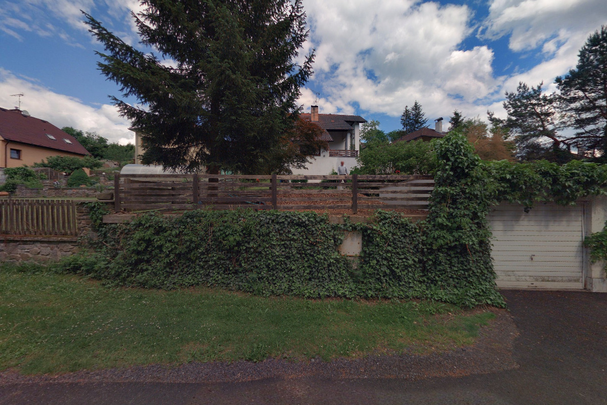 Homeopatická poradna - Dennisa Ptáčková