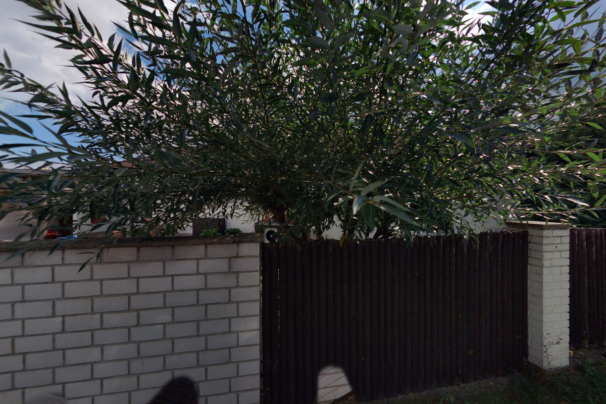 MVDr. Helena Enenkelová foto 2