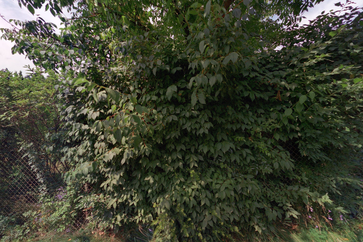 R.T.E., spol. s r.o.