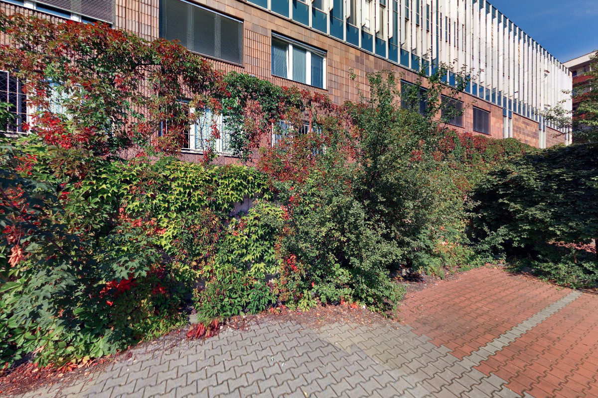 Repredarky.cz foto 2