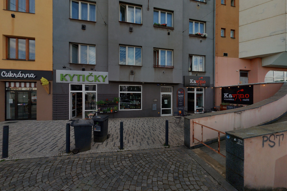 Kytičky Palmovka foto 3