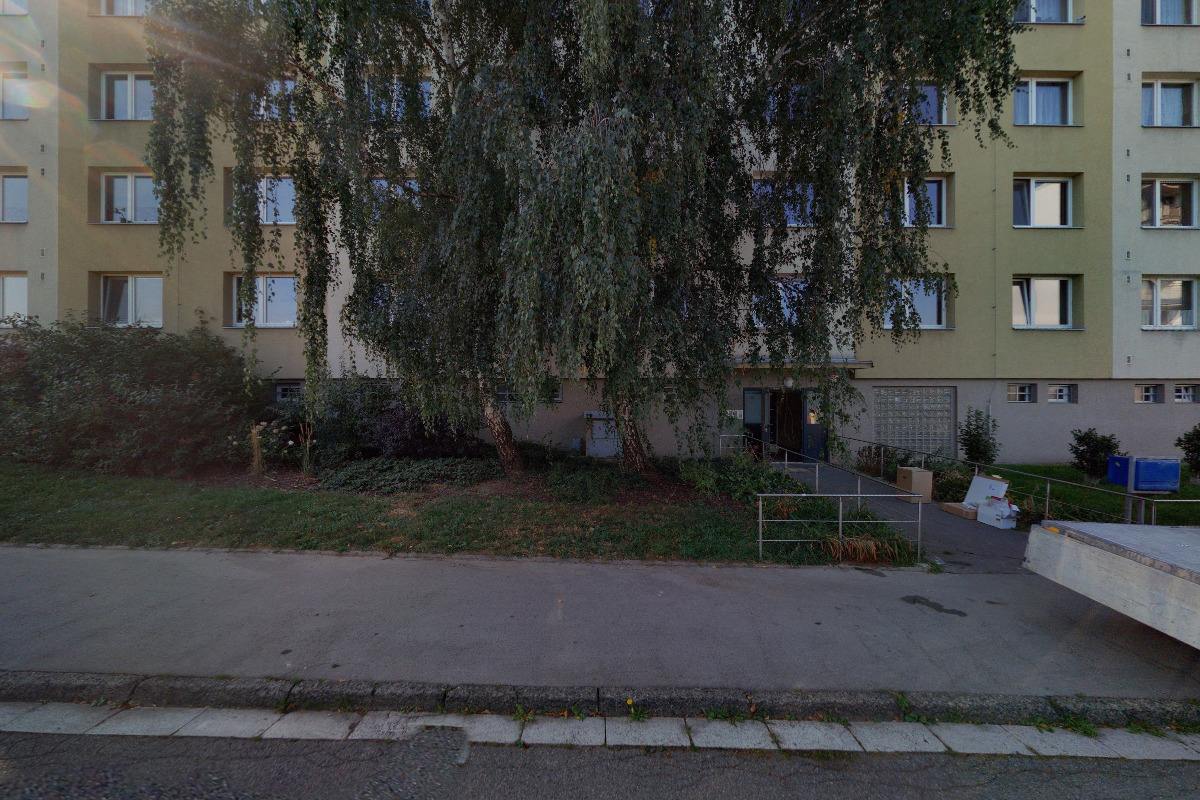 DP Plyn - David Pelech