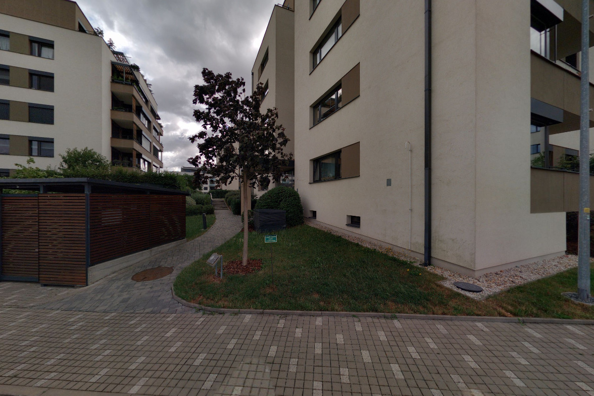 PLAYNAUT půjčovna deskových her foto 5