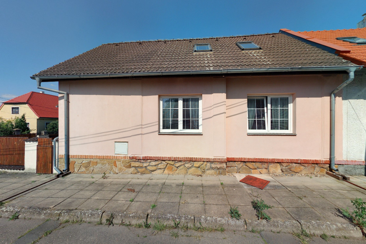 Deratizace - HOST foto 2