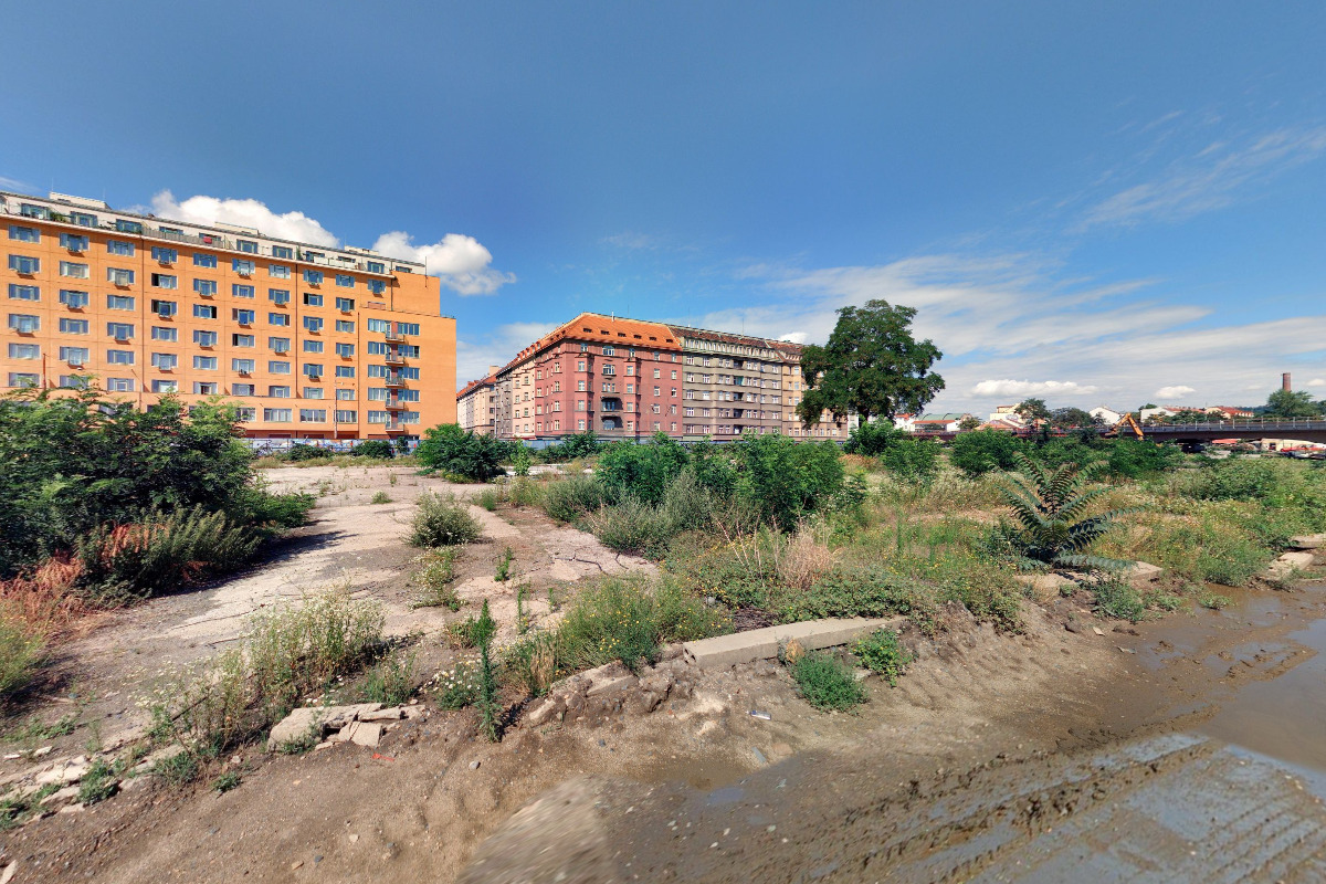 Radmila Mičevič foto 2