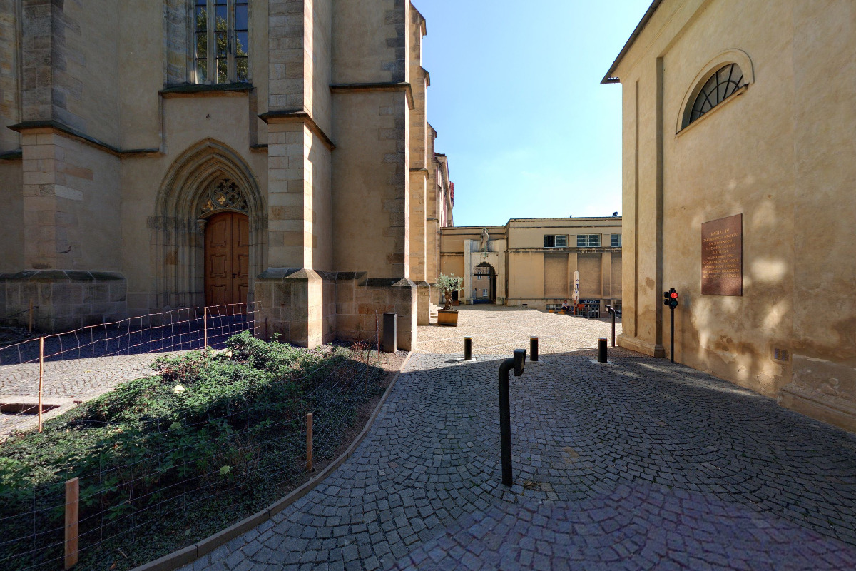 Česká angiologická společnost foto 3