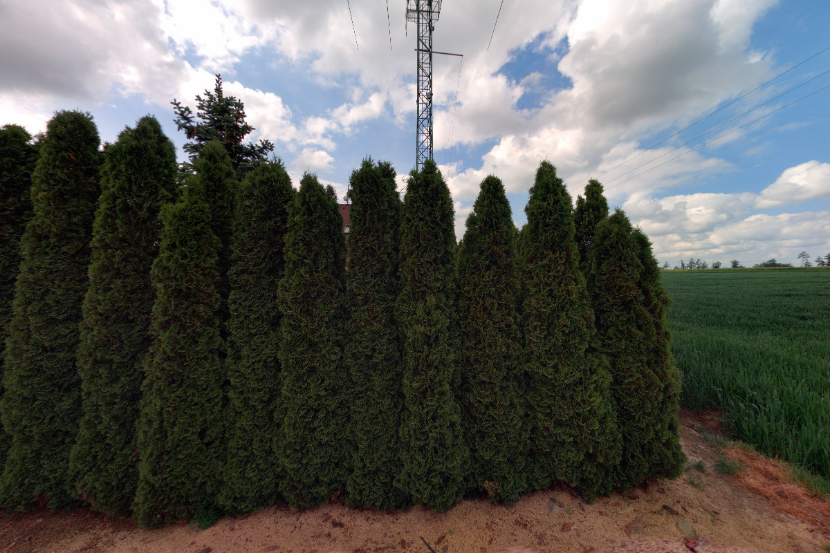 Na-Net foto 3