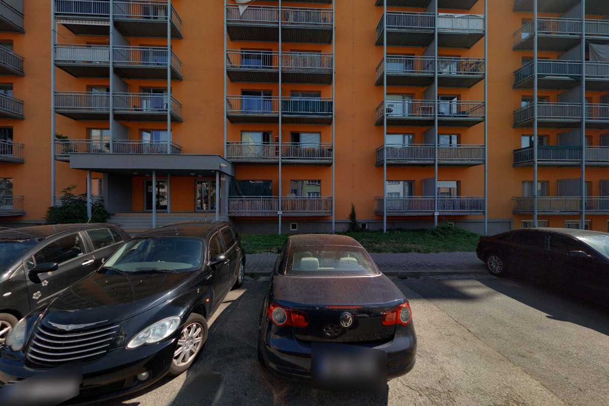 Jakub Plocek - arborista foto 2