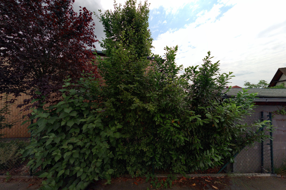 Ing. arch. Marcela Krupová