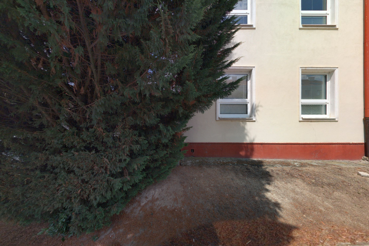 Alena Nešporová - Rehabilitace