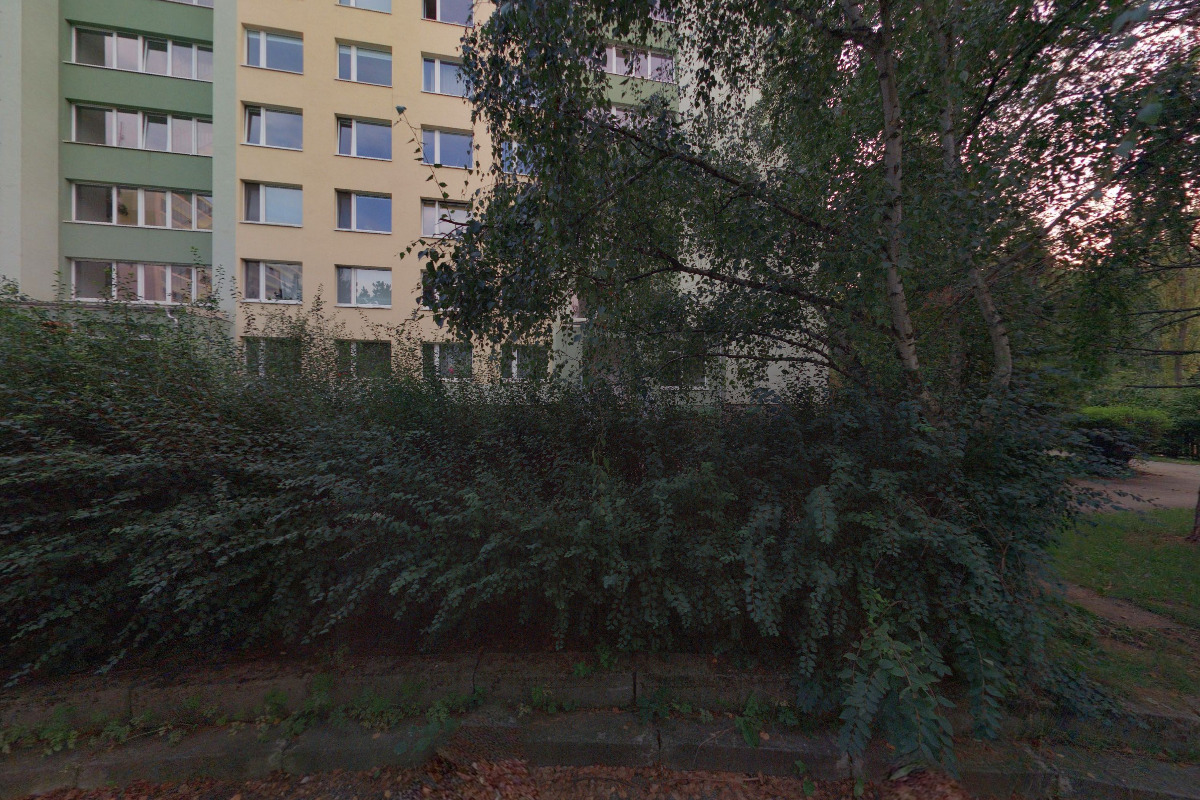 Miroslav Matouš foto 2