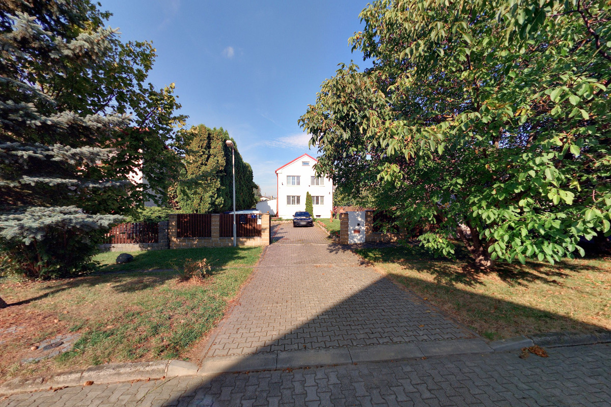 Království papoušků foto 1