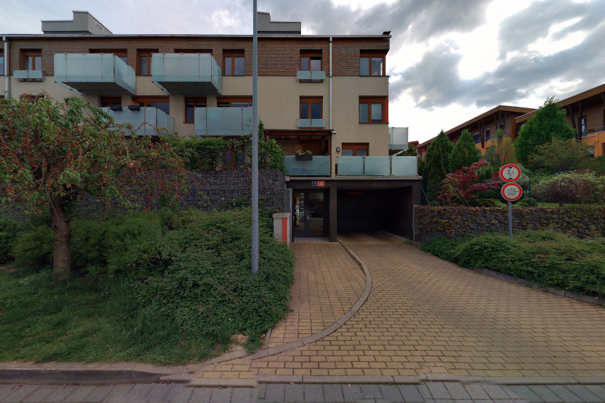 Markéta Petříková