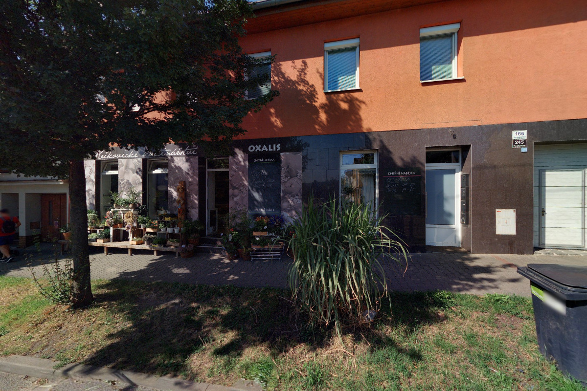 Květinářství Oxalis foto 5