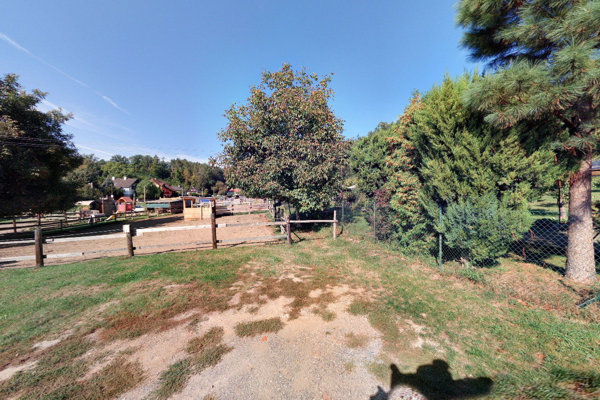 Jezdecká stáj Elvis – Kristýna Paulíková foto 4