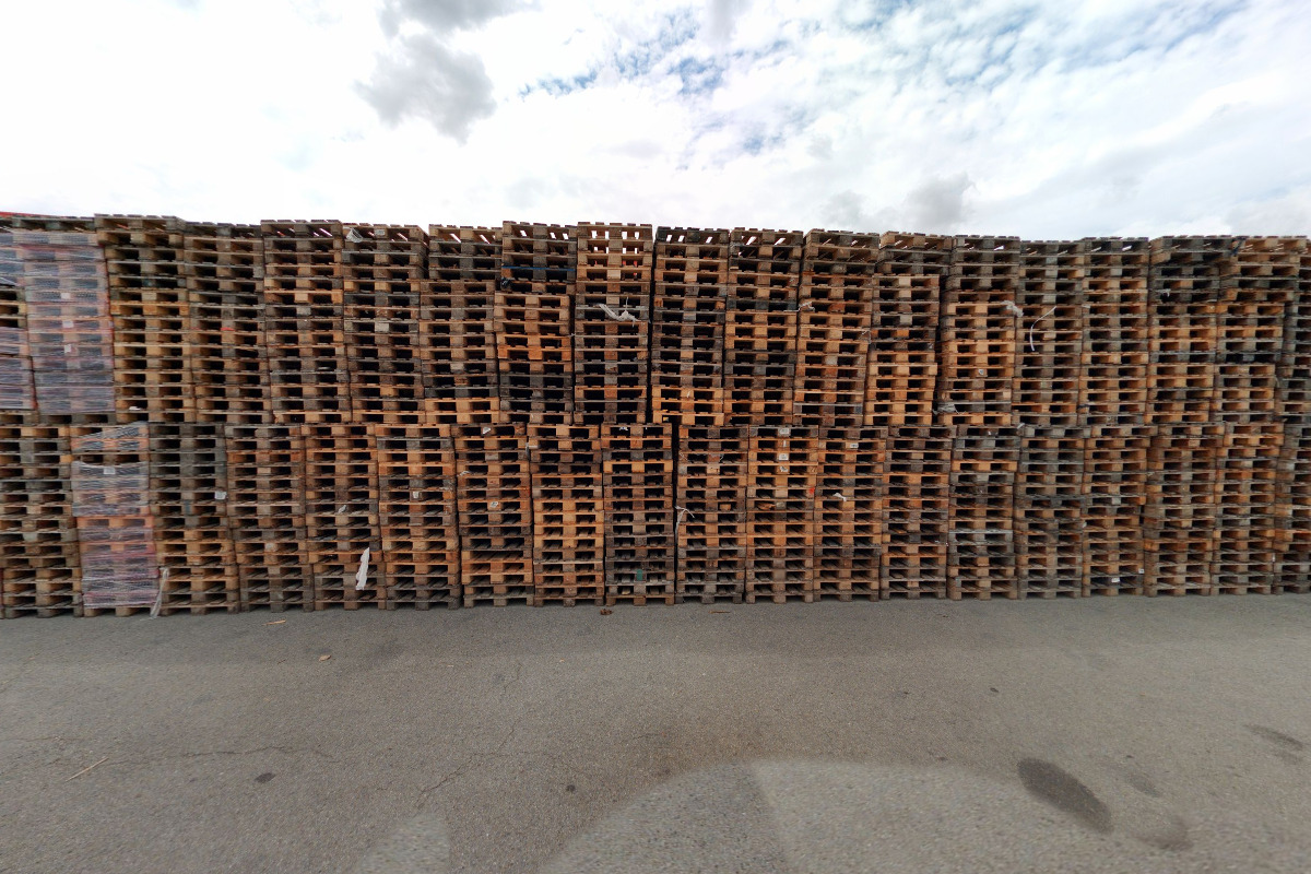 Focus Cz Marketing-and IT Research, s.r.o. foto 1