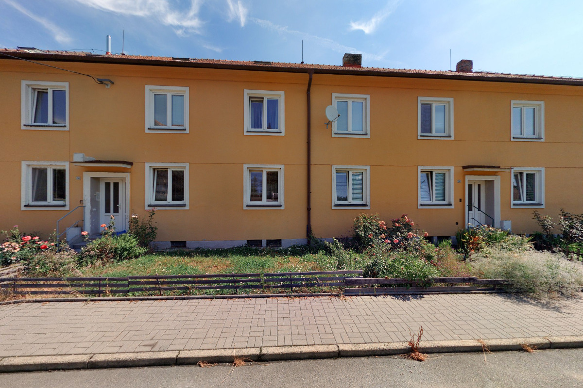 Úprava a stříhání psů Navrátilová