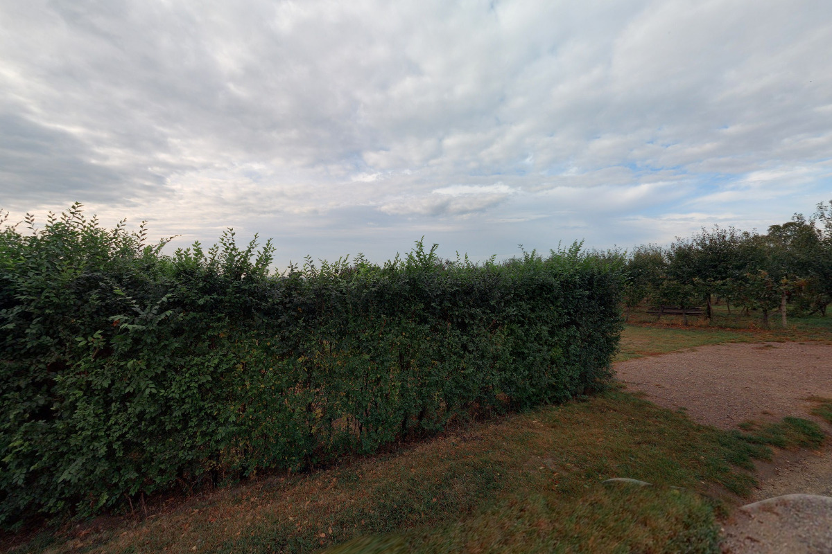 Stellplatz Vinařství Vyhňák foto 5