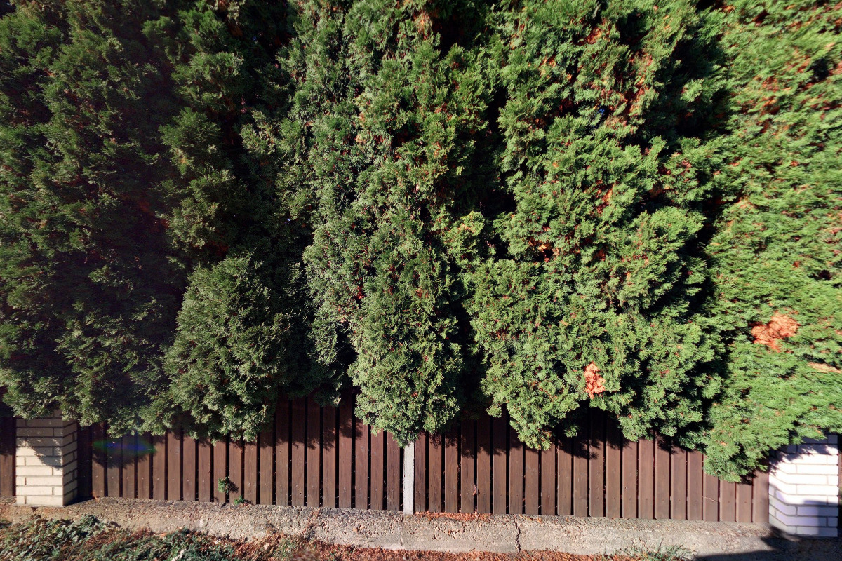 Daňový poradce ev. č. 4602 Ing. Filip Svoboda