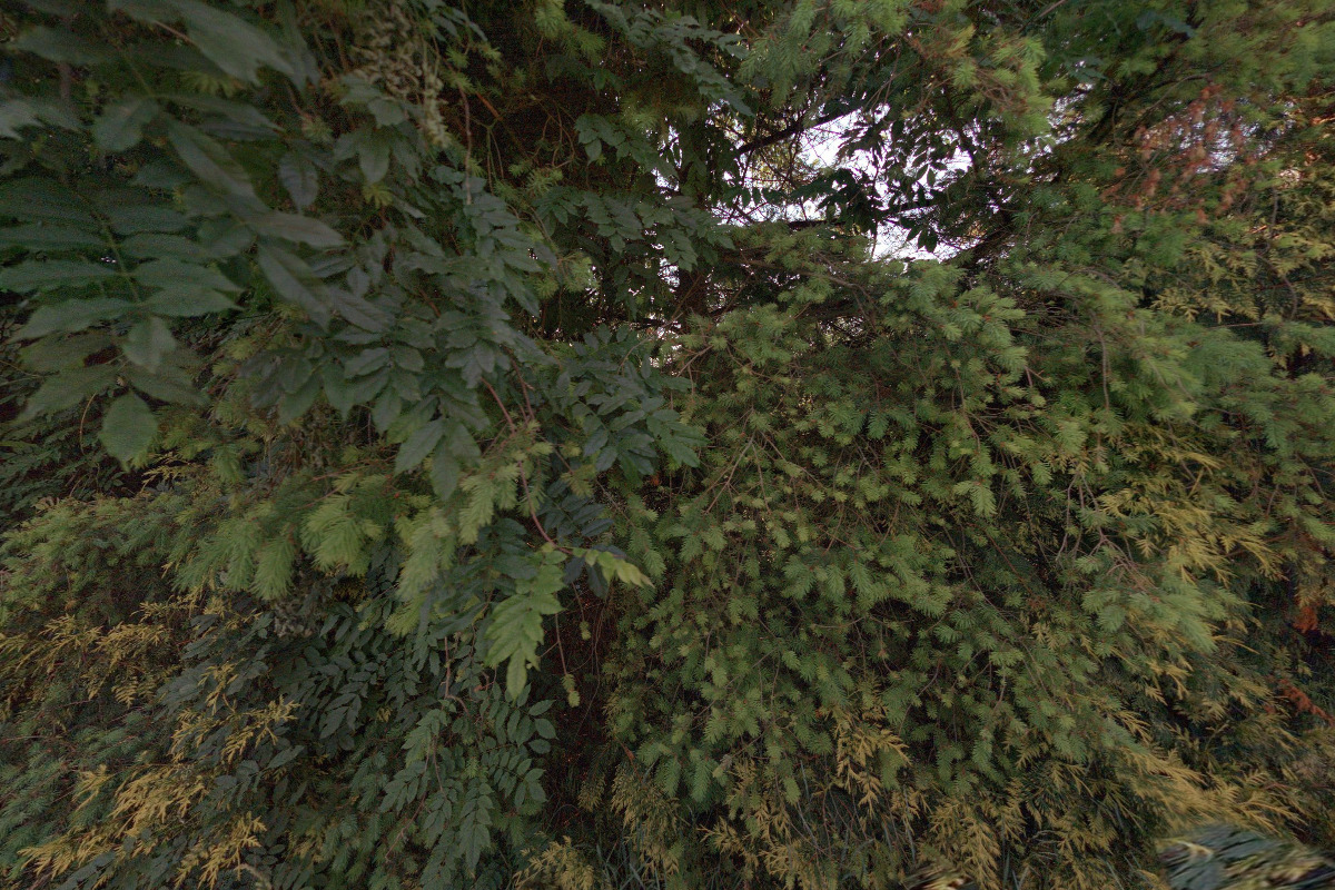 Ladislav Procházka - PROTEX AGENCY