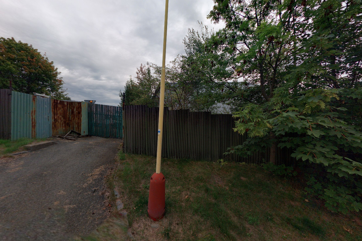 Petr Všechovský - Dřevotyp