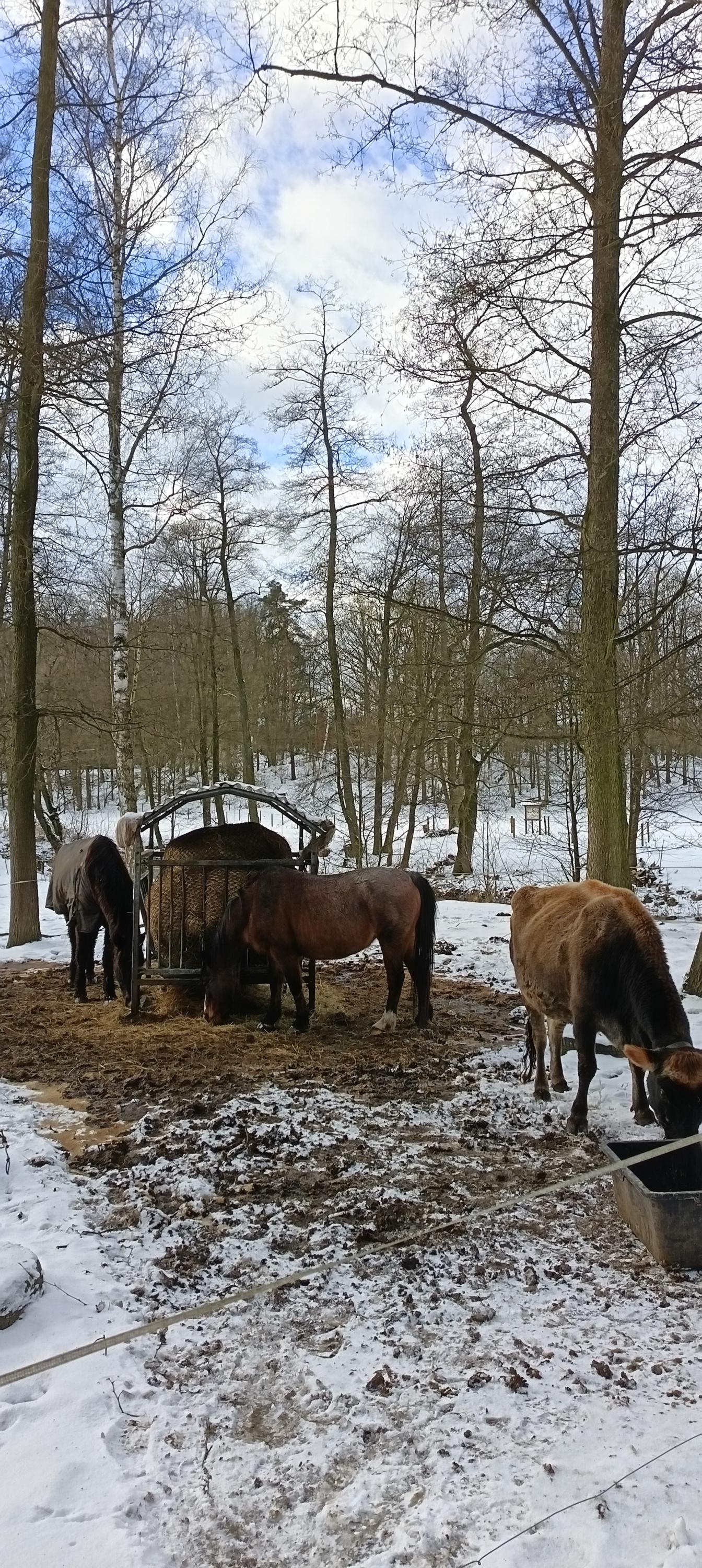 Pavlína Štyndlová foto 4
