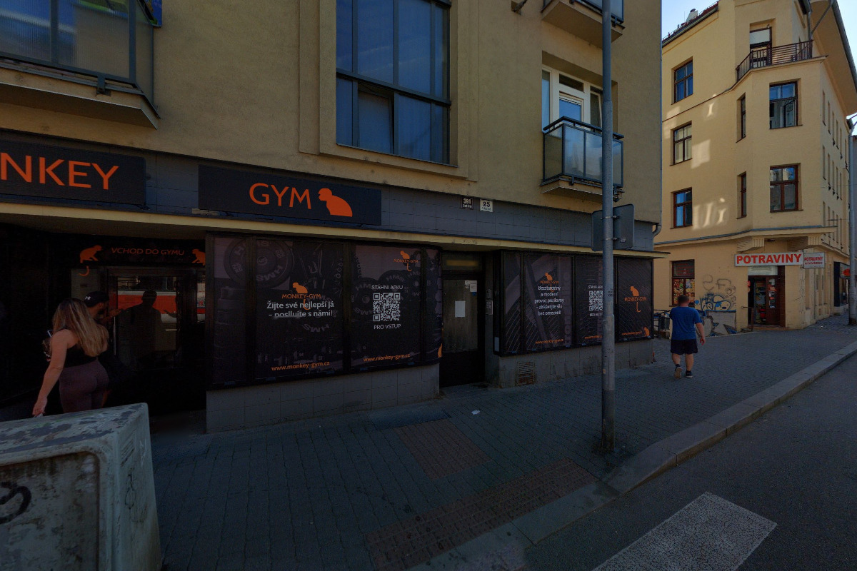 Monkey-Gym