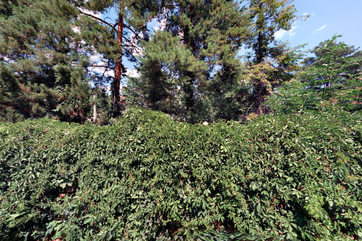 OSEVA, AGRO Brno, spol. s r.o.