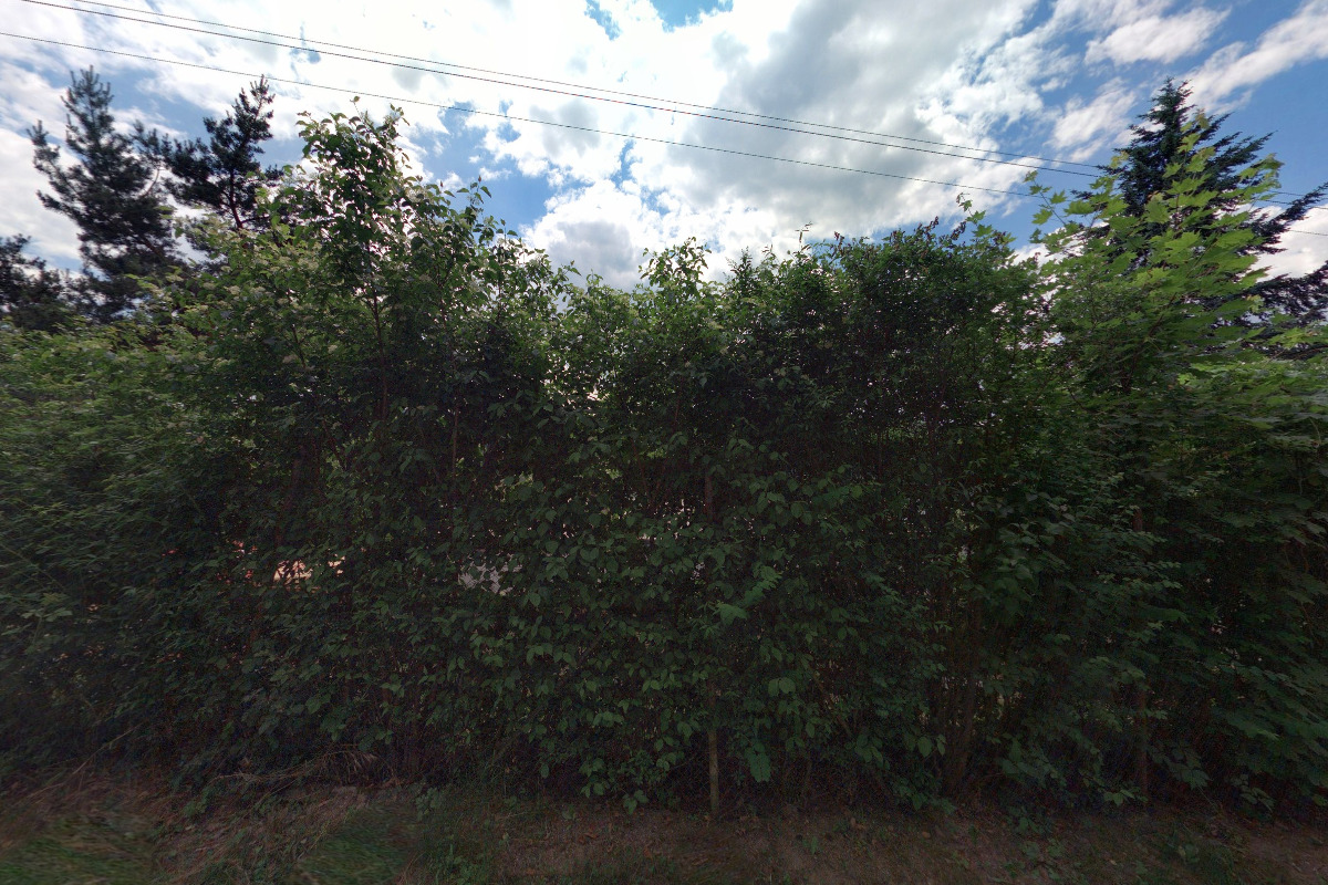 Restaurace kempu Tyršova osada