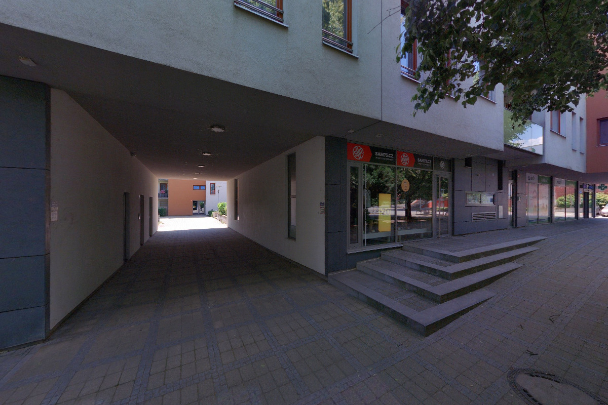 Daňový poradce ev. č. 4248 Ing. Petra Brigantová