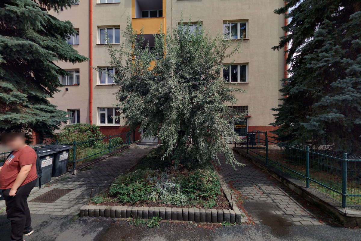 České sdružení obětí dopravních nehod foto 2