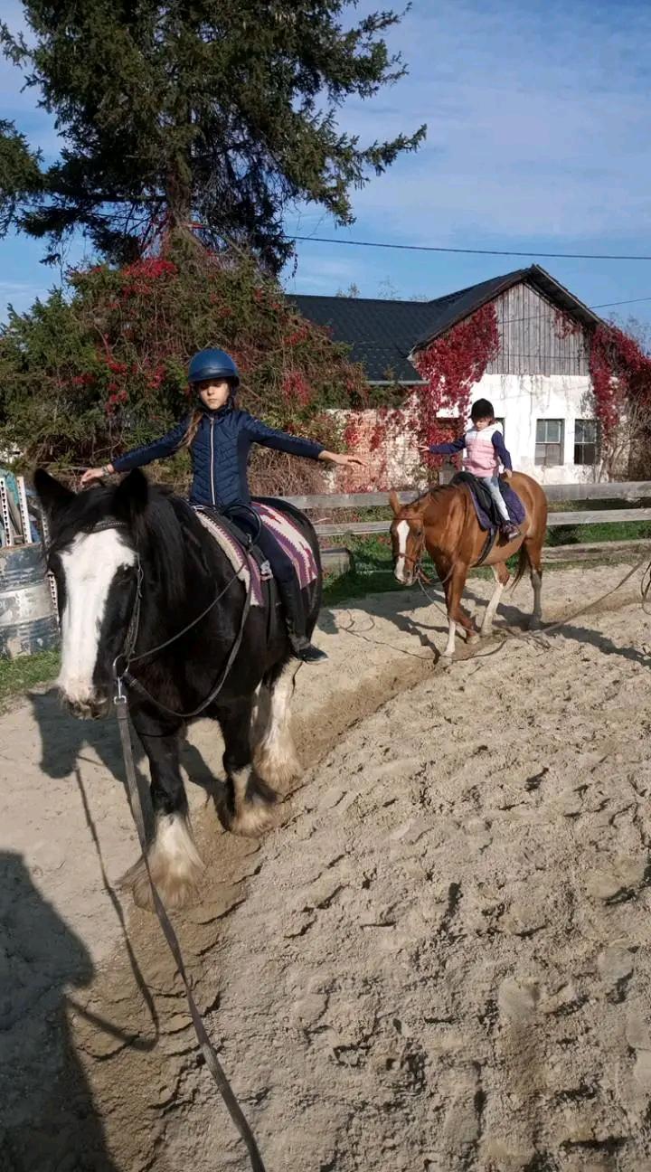 Stáj KoMoDaMa - Jezdecký spolek Borneo foto 4