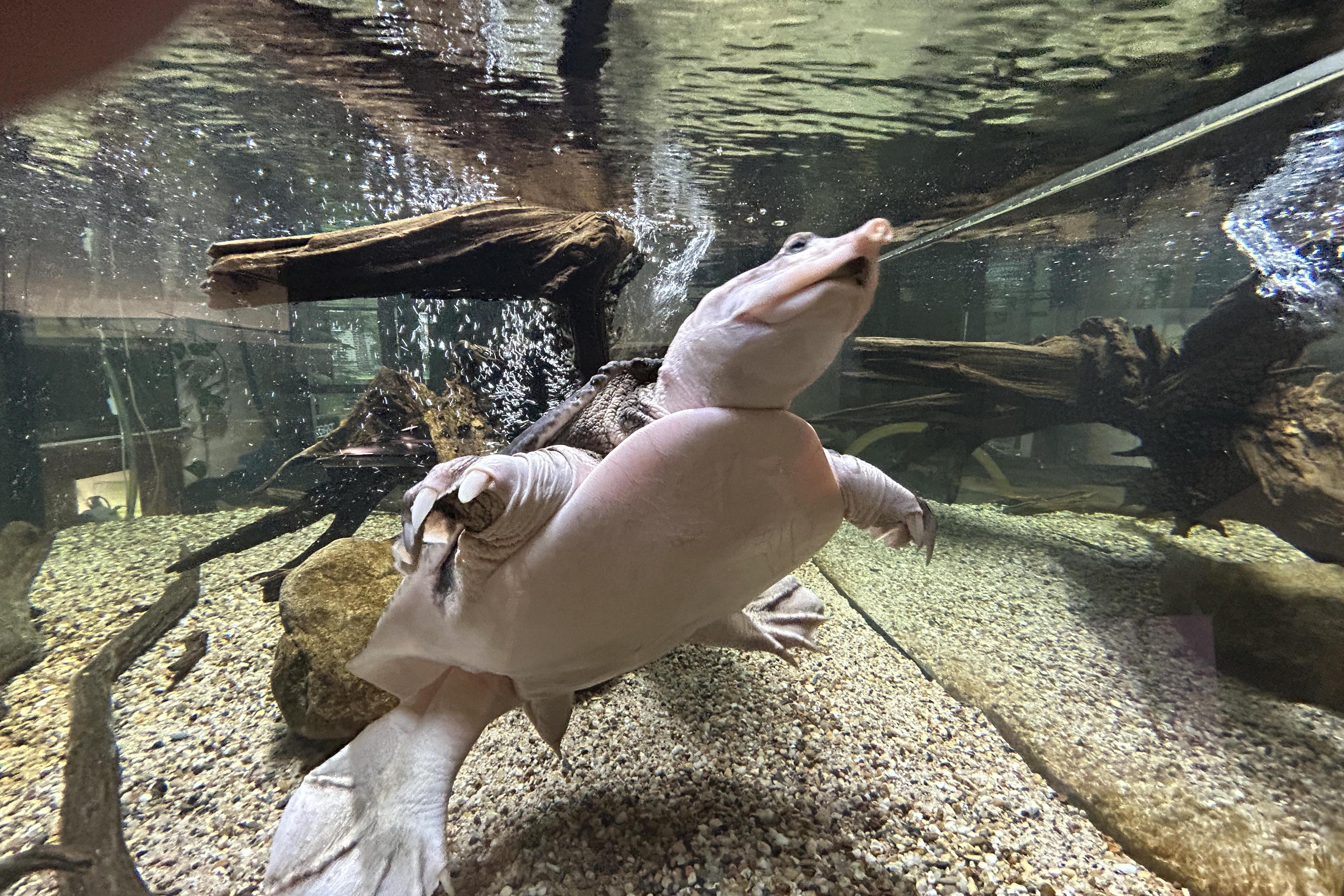 Vodní MiniZOO Baška