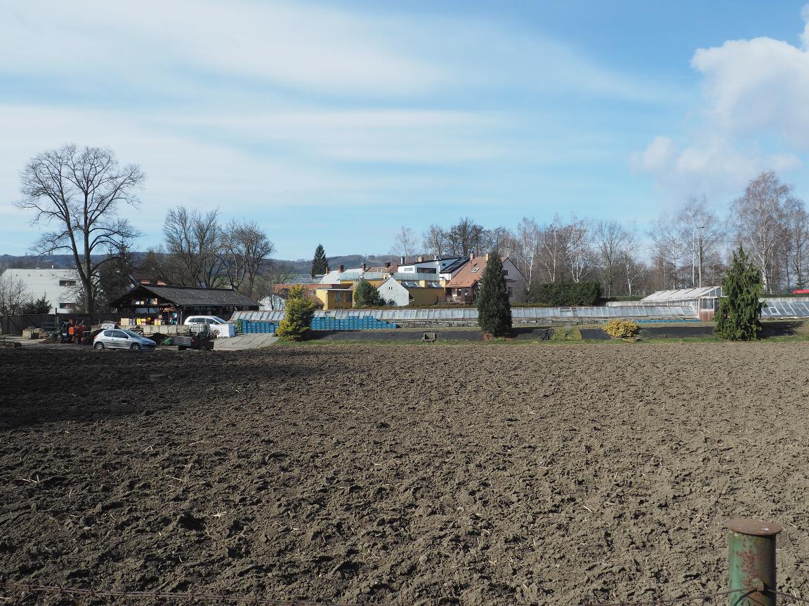 Langrovo zahradnictví foto 4