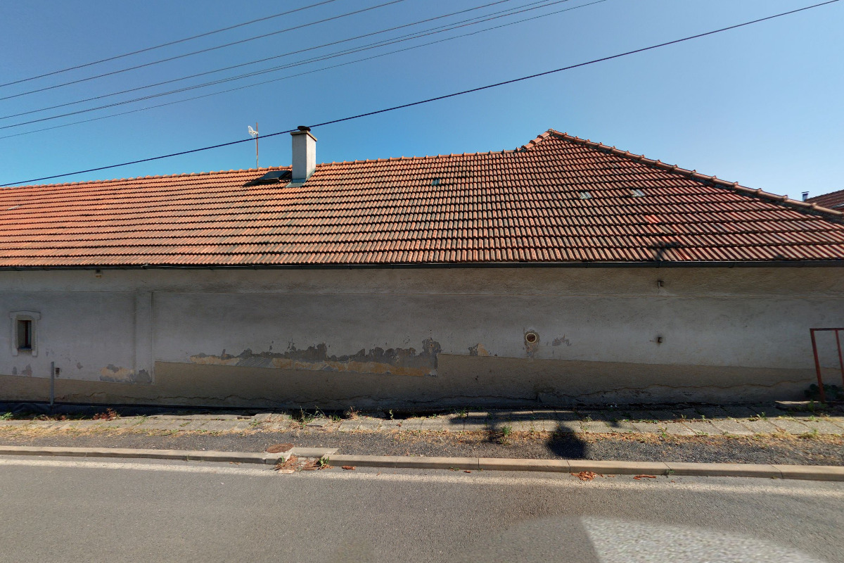 Levna-semena.cz foto 2