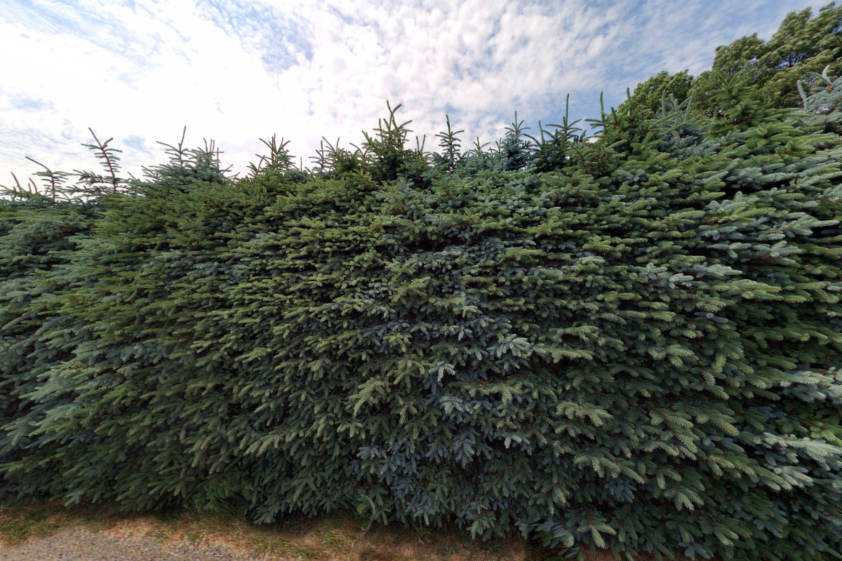 Stavební truhlářství Milan Černohous foto 2