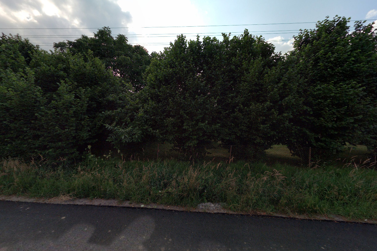 Kateřina Budínová