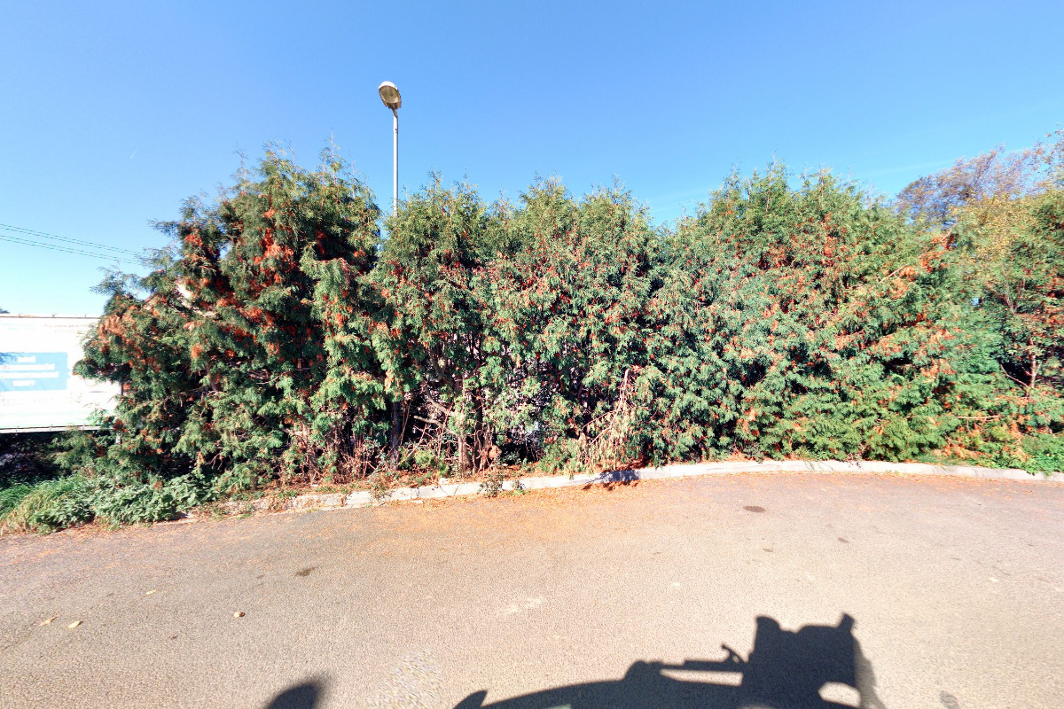 Asociace pro elektromobilitu České republiky