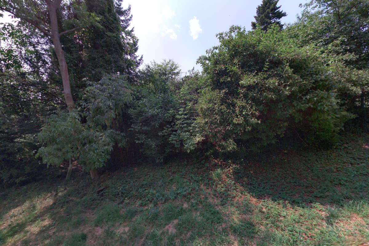 Anglickyzarok.cz foto 5