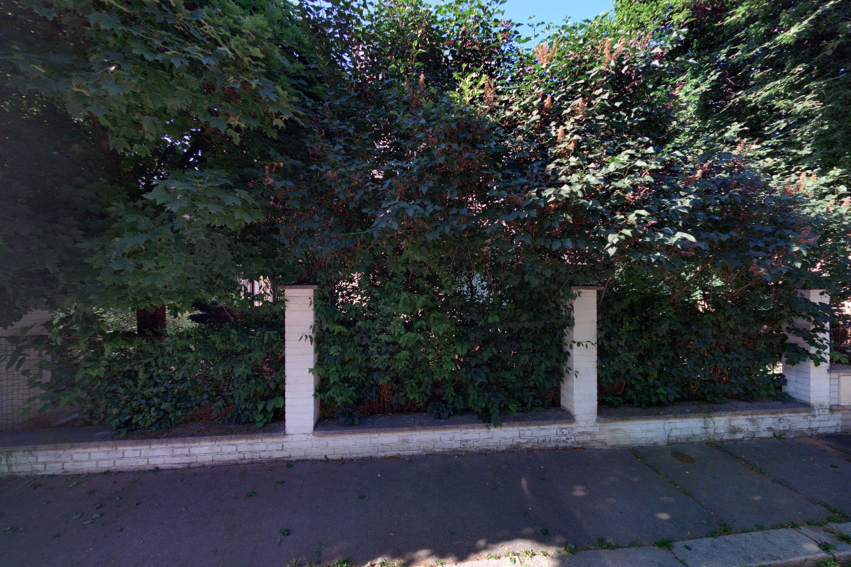 Ing. Vladimír Megvinet Chucesov