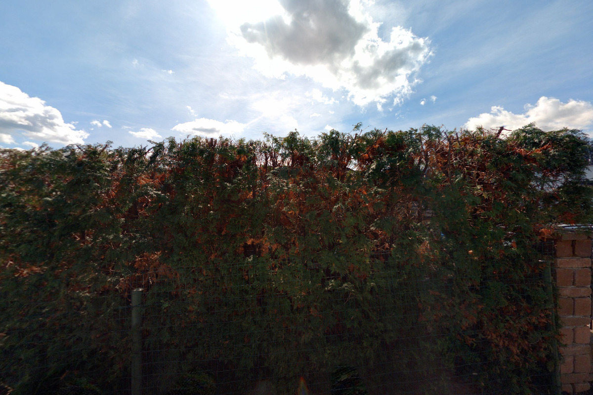 Jaroslava Kneřová - finanční služby