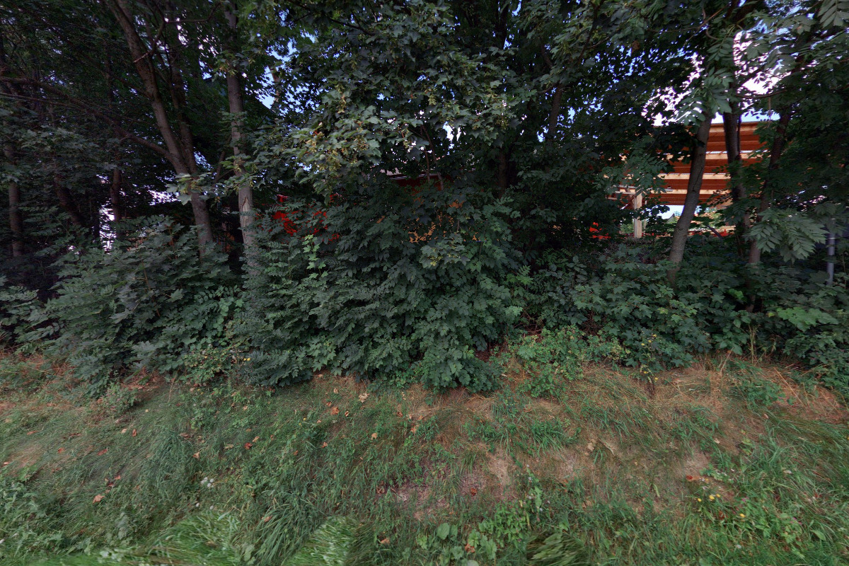 Ing. Zbyněk Doleček - pila